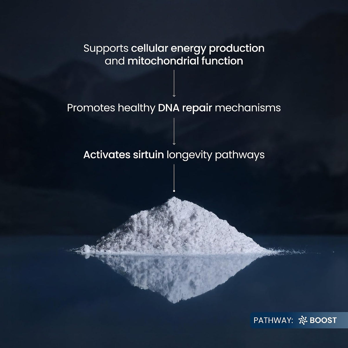 Renue By Science NMN Powder | 100g Fast Dissolve Powder Supplement | 500mg Nicotinamide Mononucleotide per Serving | Manufactured in the USA Third-Party Tested