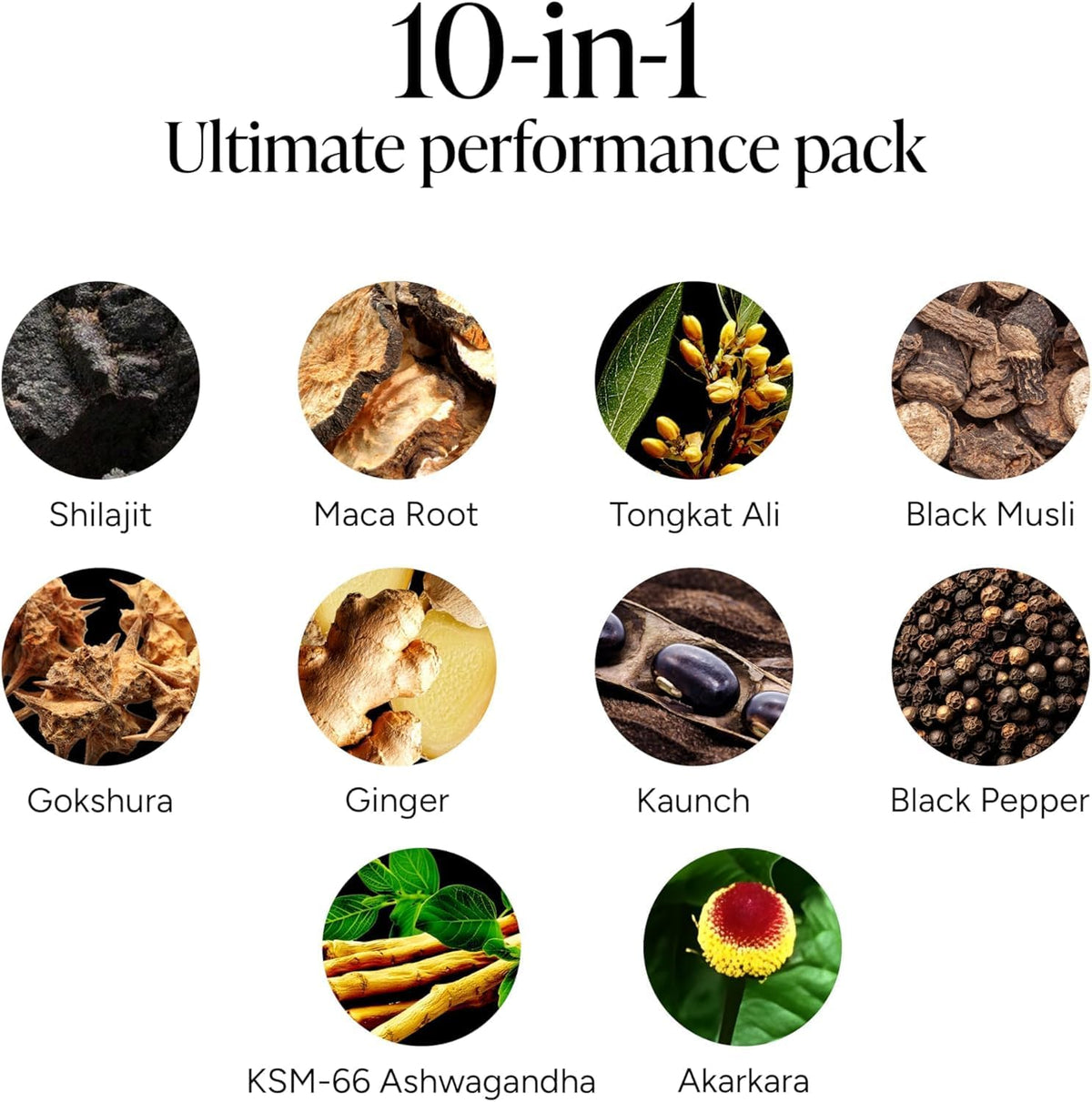 ROOT LABS 10-in-1 Alpha Shilajit Gummies | 4000 mg Pure Himalayan Shilajit with Tongkat Ali & Maca Root | Shilajit for Men & Women | ShilAbsorb Bioavailability Tech | Sugar-Free, Vegan | 60 Gummies
