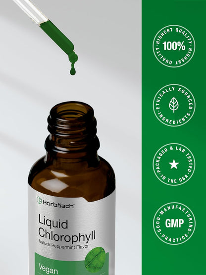 Horbäach Liquid Chlorophyll Drops | 2 fl oz | Natural Peppermint Flavor