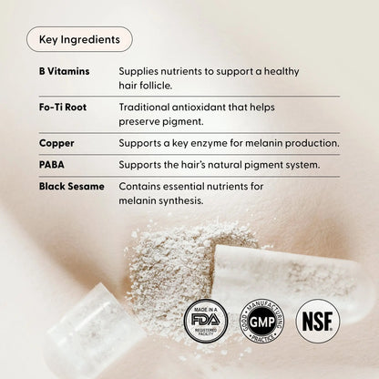 Arey Not Today Grey Daily Supplement with Vitamins Minerals & Antioxidants for Thicker Fuller Healthier Hair and Less Grey 60 Capsules Vegan Gluten Free Healthcare Edible