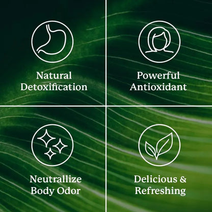 Nature's Sunshine Chlorophyll Stick Packs: Lime Twist. Your Daily Detox- Reduce Bloat, Control Odor, Clear Skin, Boost Energy, Support Digestion Nutrition Healthcare